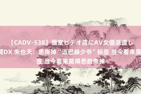 【CADV-538】個室ビデオ店にAV女優派遣します。8時間DX 朱也天:思撕掉“迈巴赫少爷”标签 当今看来莫得悉数撕掉