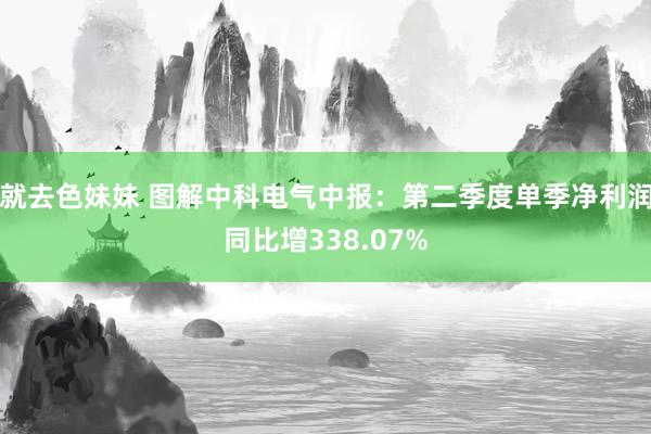 就去色妹妹 图解中科电气中报:第二季度单季净利润同比增338.07%