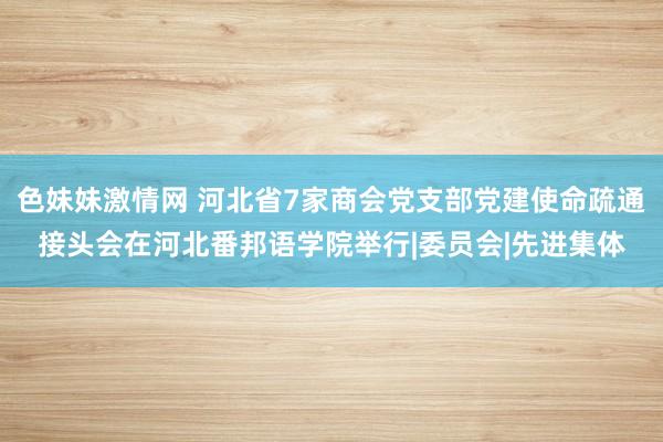 色妹妹激情网 河北省7家商会党支部党建使命疏通接头会在河北番邦语学院举行|委员会|先进集体