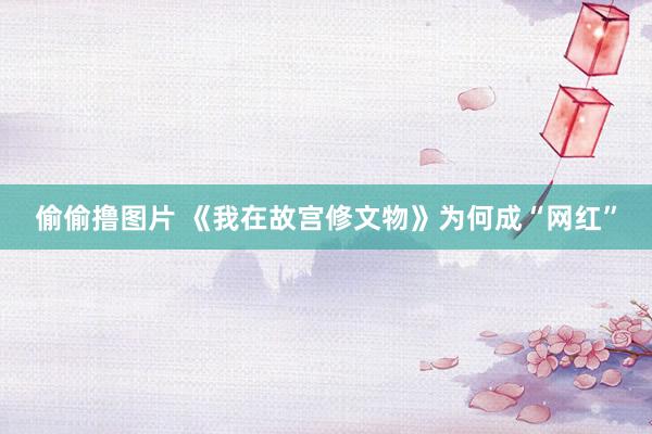 偷偷撸图片 《我在故宫修文物》为何成“网红”