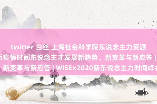 twitter 白丝 上海社会科学院东说念主力资源磋议中心副主任汪怿：后疫情时间东说念主才发展新趋势、新变革与新应答 | WISEx2020新东说念主力时间峰会