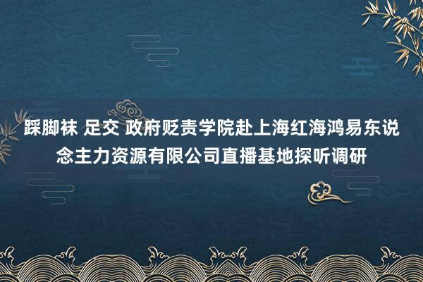 踩脚袜 足交 政府贬责学院赴上海红海鸿易东说念主力资源有限公司直播基地探听调研