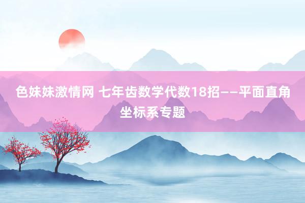 色妹妹激情网 七年齿数学代数18招——平面直角坐标系专题