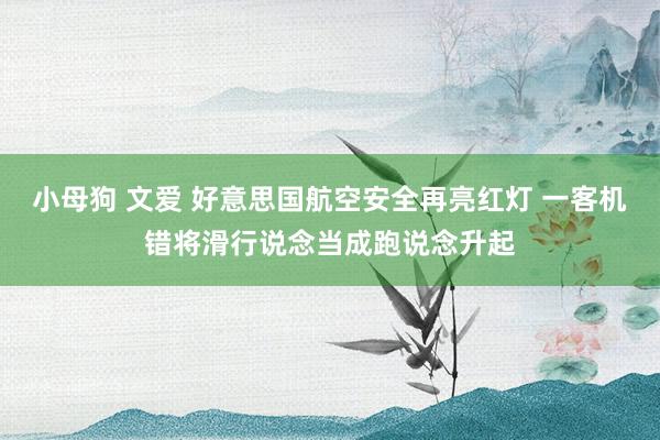 小母狗 文爱 好意思国航空安全再亮红灯 一客机错将滑行说念当成跑说念升起